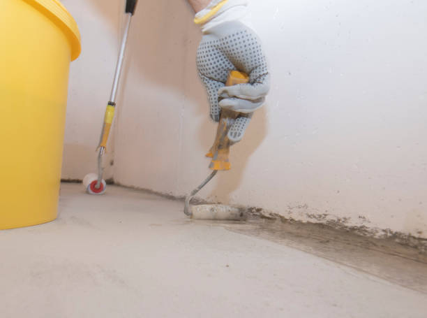 Best Pest Prevention Services  in Derby, CT